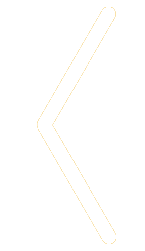 zt