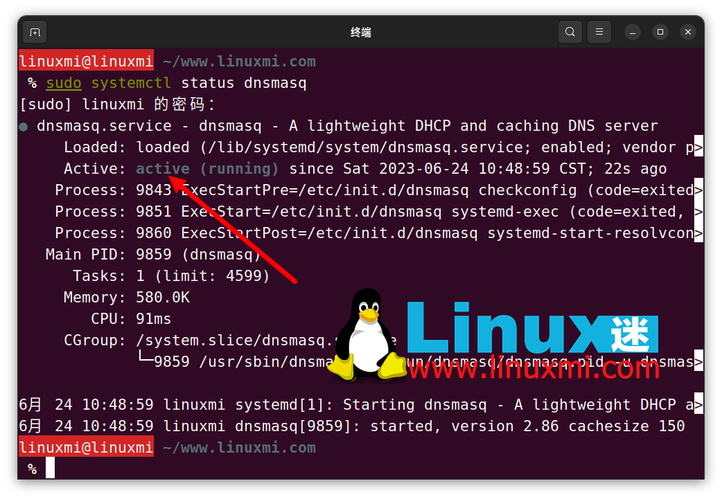 怎样在 Linux 上审查和刷新 DNS 缓存